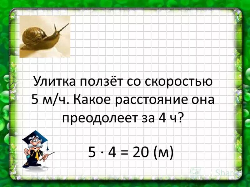 скорость черепахи м/мин. средняя скорость черепахи км/ч. черепаха ползла со скоростью. черепаха ползла 2 ч со скоростью. задача про черепаху.