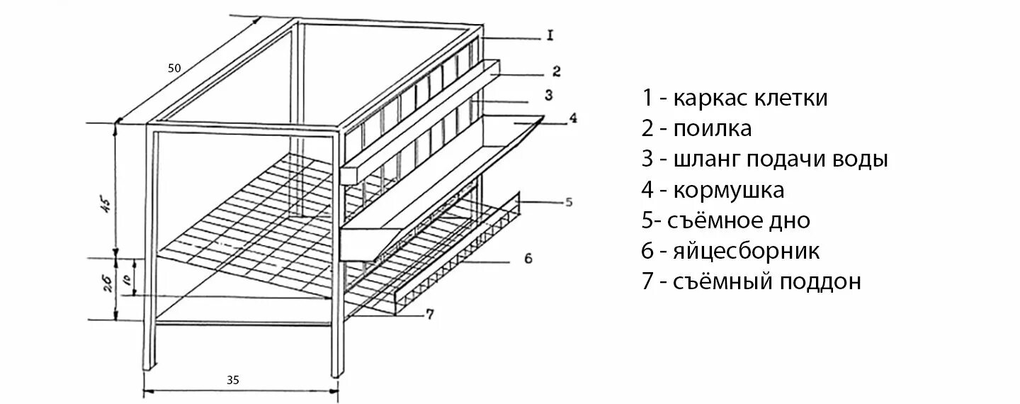 Клетка для перепелов Размеры чертеж. Клетка для перепелок несушек своими руками чертежи и Размеры. Клетка для 50 перепелов своими руками чертежи с размерами. Чертежи клеток для кур несушек.