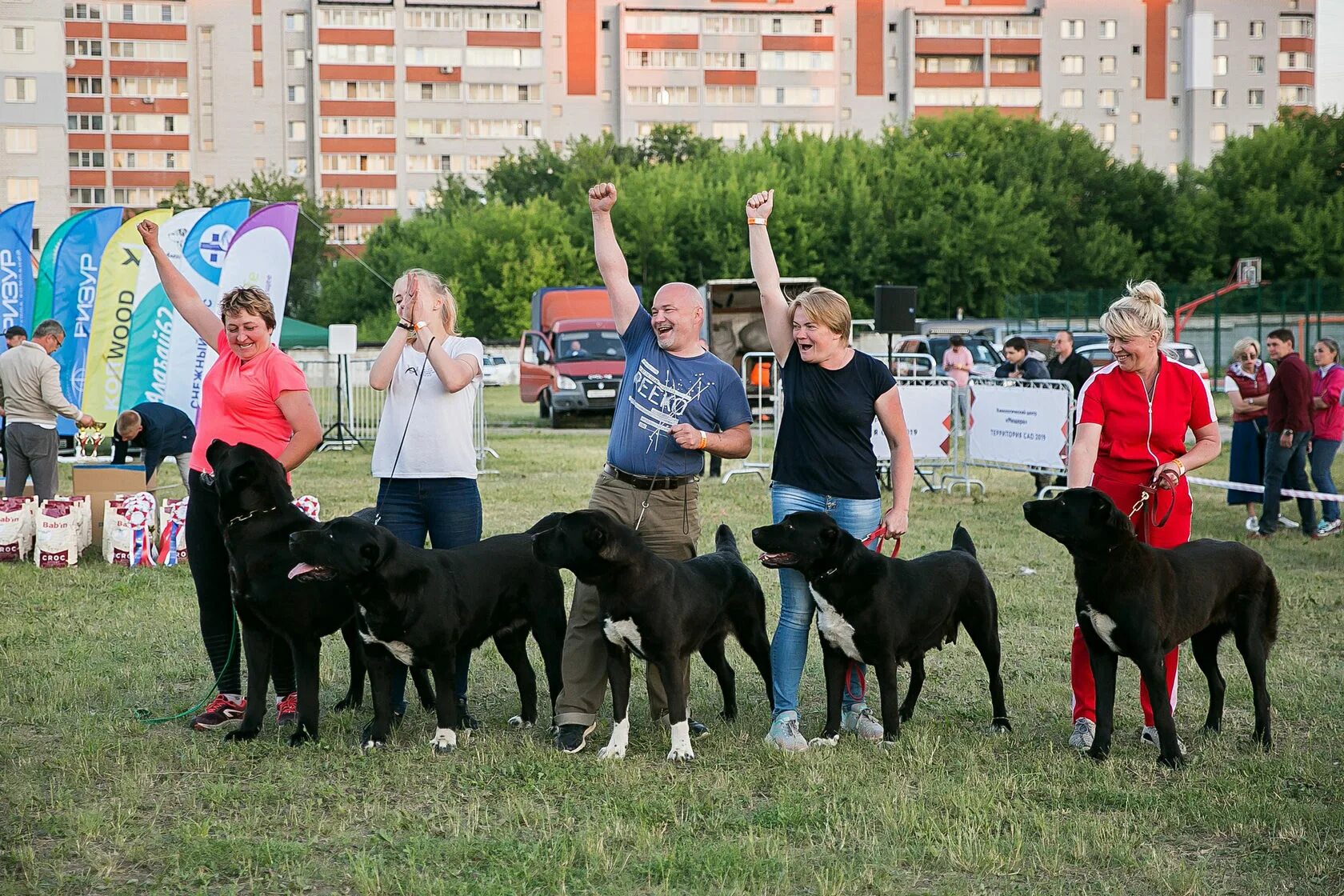 Выставка сао. Выставка сао. Выставка сао. Среднеазиатская овчарка на выставке. Монопородная выставка сао щенки.