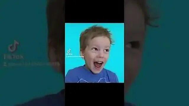 Когда богданы умирают они