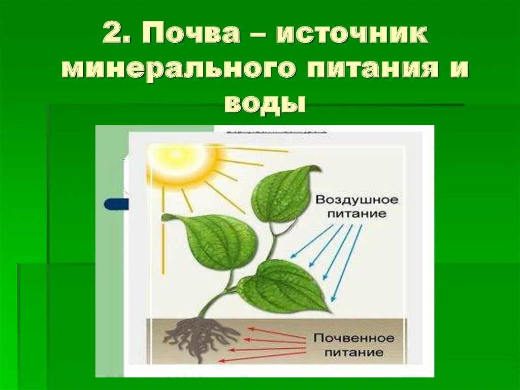 Питание растений. Питание растений презентация. Схема питания растений. Воздушное и почвенное питание.