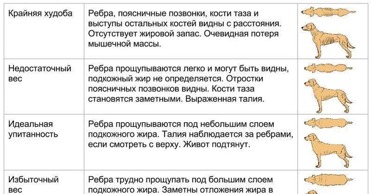 КАРТИНКИ ТАБЛИЦ ВЫПЛАТ ОТ ОРИФЛЭЙМ - Поиск в Google Health and beauty, What you 