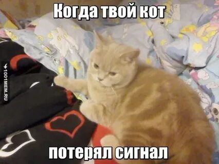 Потерял сигнал