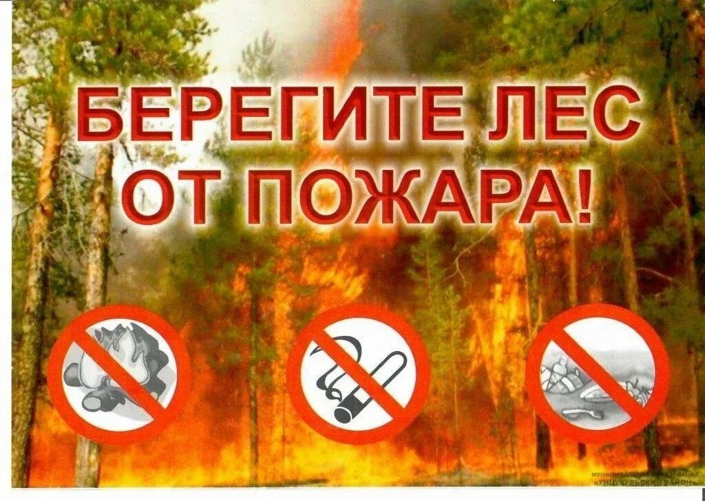 Берегите лес отпоажара. Берегите Лис от пожара. Береги лес от пожара. Берегите лес ООТ Поджаров. Слова берегите лес