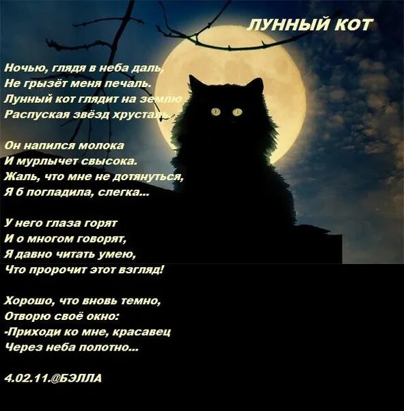 Стих про кота. Стихи про котов. Лунный кот стихотворение. Стихотворение про кошку. День котов стихи