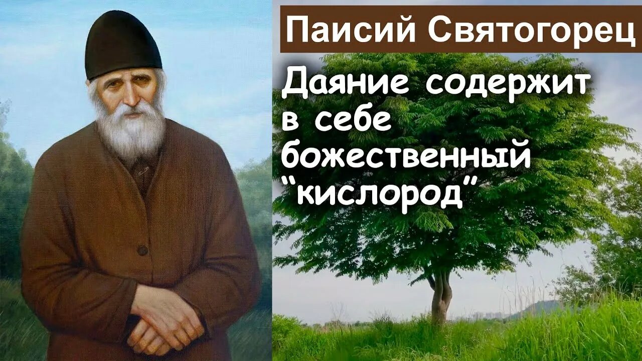 Книга духовное Пробуждение Паисий Святогорец. Древо Паисия. Паисий Святогорец картинки. Духовное пробуждение паисий