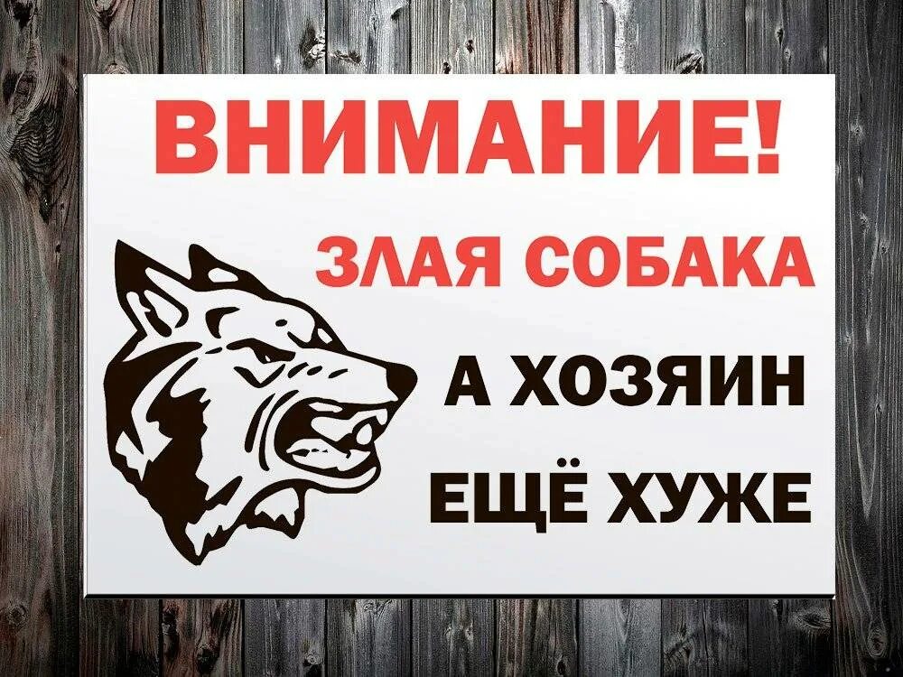 Табличка "злая собака". Табличка осторожно злая собака. Табличка на ворота осторожно злая собака. Табличка злая собака прикольная. Вывески во дворе