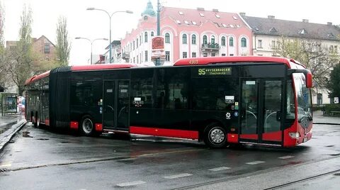 Организация общественного транспорта
