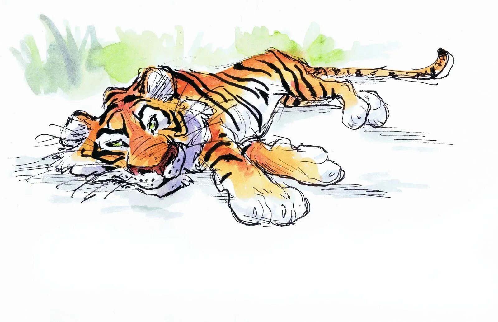 Тигр в засаде мем. Тигр рисунок. Мультяшные тигры. Тигренок мультяшный. Тигренок рисунок.