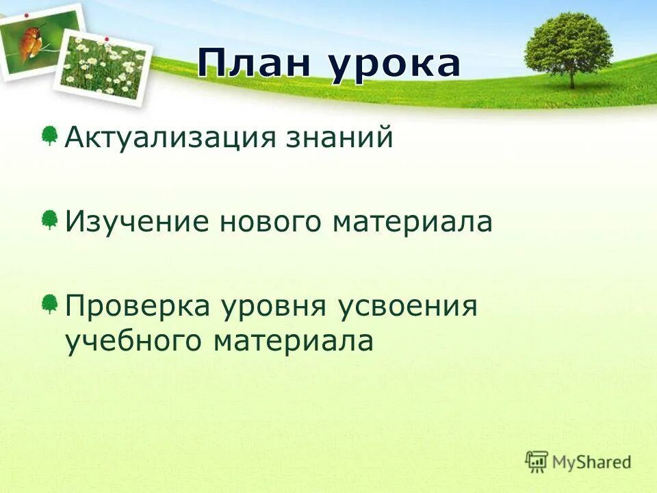 среды обитания организмов 11 класс презентация