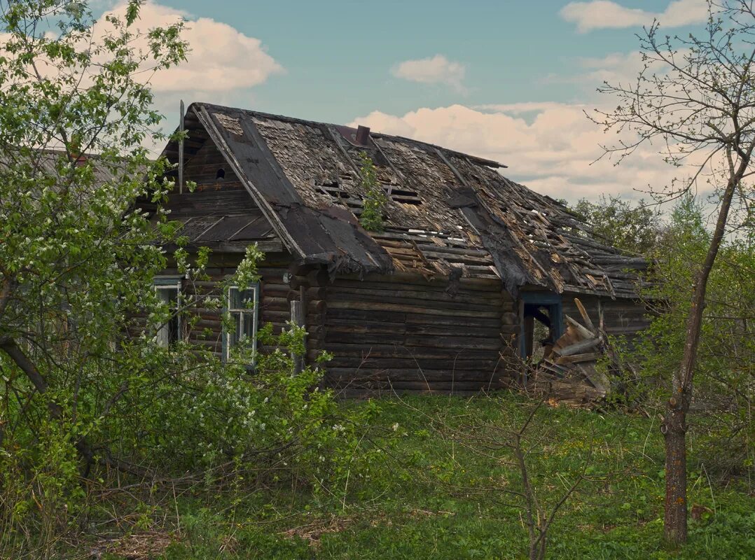 Вернулась в родную деревню. Александр закшевский слеза скатилась. слеза скатилась про деревню. тверская область деревня малиниха. песня о заброшенной деревне.