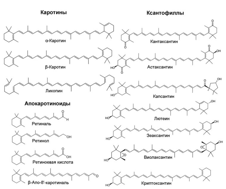 Накопление водорастворимых пигментов антоцианов присоединение молекулы. Каротиноиды структурная формула. Каротин строение. Каротиноиды строение. Строение бета каротина.