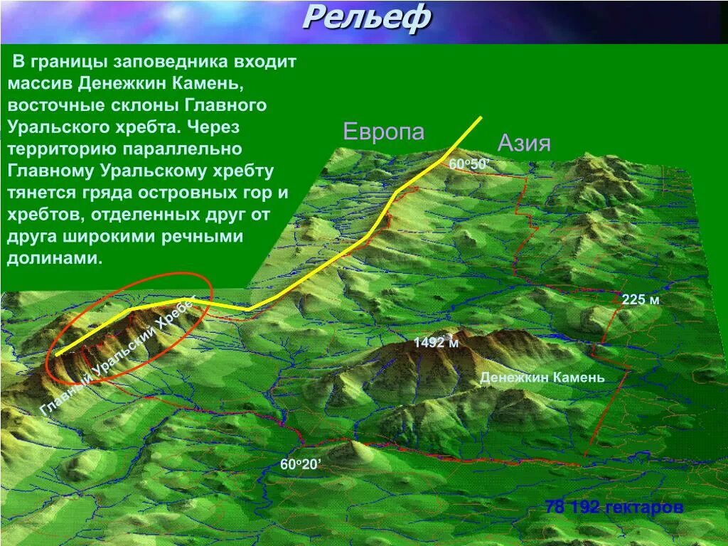 Рельеф урала. Денежкин камень заповедник рельеф. Расположение заповедника Денежкин камень. Заповедник Денежкин камень на карте. Гора Денежкин камень на карте Урала.