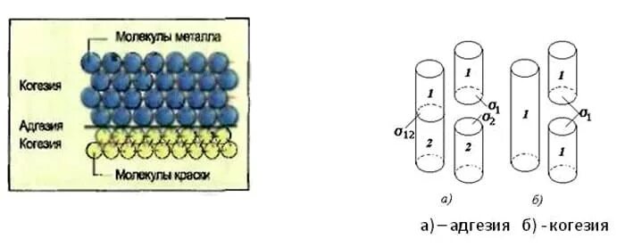 Адгезия металла. Адгезия и когезия схема. Адгезия и когезия воды. Адгезия и когезия в стоматологии.