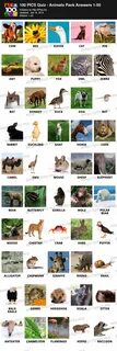 My quiz ответы