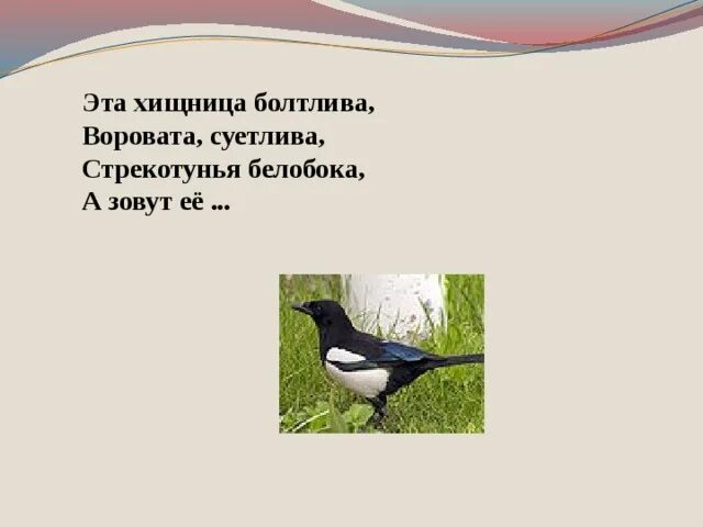 Стрекотунья белобока пушкин. Стрекотунья белобока. Стрекотунья белобока. Стрекотунья белобока под калиткою моей скачет пестрая. Стрекотунья белобока пушкин.