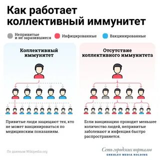 Ответственность лиц пользующихся иммунитетом