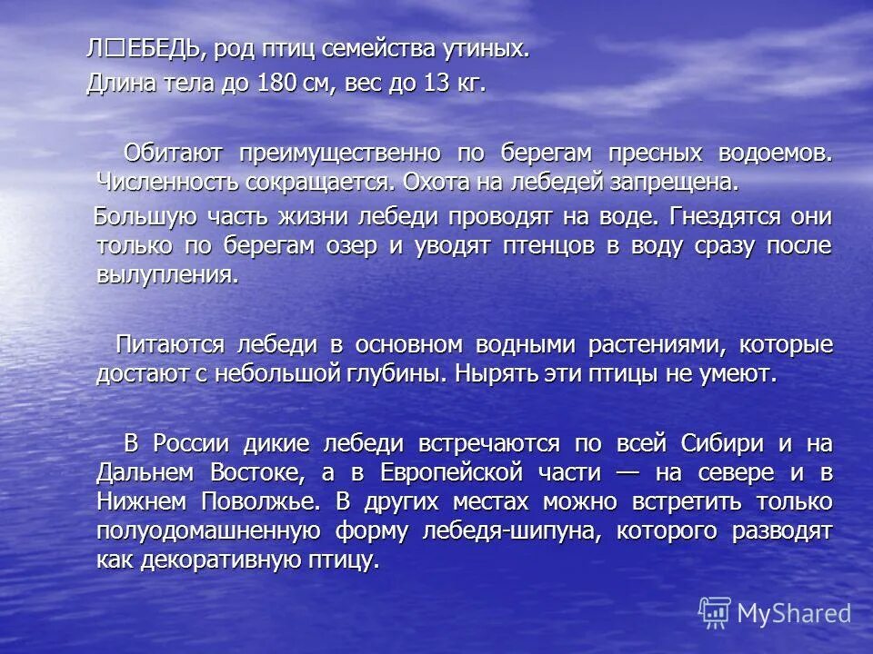 Энциклопедия статью о жизни лебедей. Характеристика лебедя. Научная статья о лебедях. Энциклопедии статью о жизни лебедей. Описание лебедя в энциклопедии.