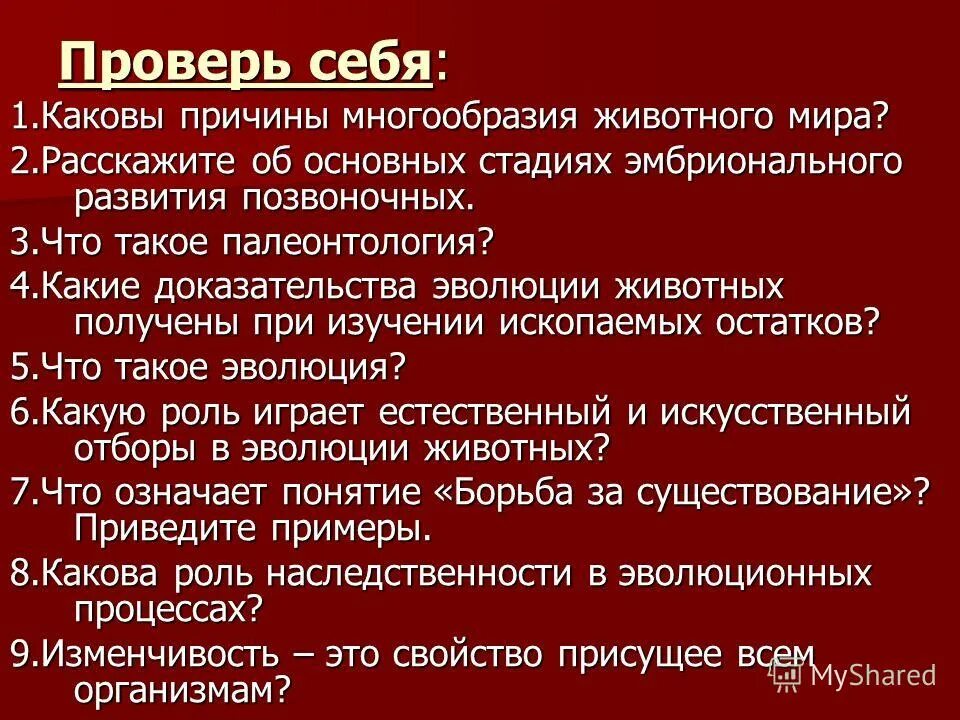 Каковы причины многообразия видов. Каковы причины многообразия видов