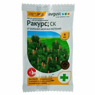 Ракурс для хвойных весной