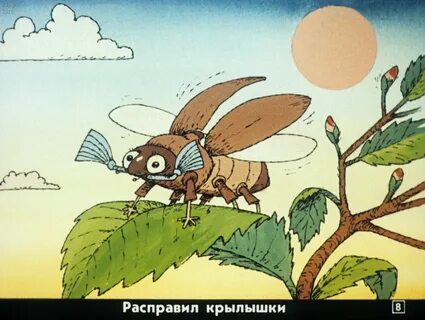 Сказка жук