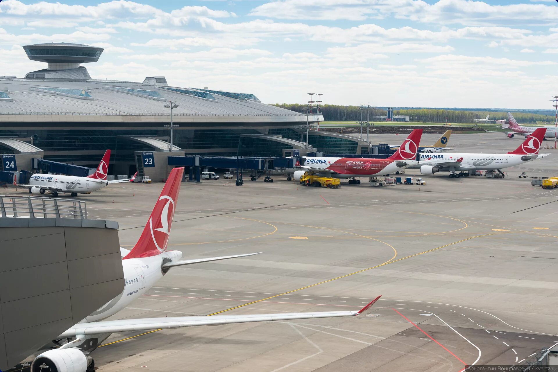 Самолет на аэродроме. Самолеты авиакомпании. Туркиш эйрлайнс домодедово. Turkish airlines внуково. Аэропорт внуково турция стамбул.