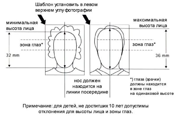 Высота головы взрослого человека. Высота головы взрослого человека. Пропорции лица ребенка схема. Пропорции головы взрослого человека. Высота головы взрослого человека.