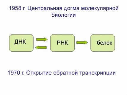 Центральная догма молекулярной