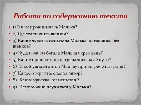 Пересказ рассказа малька. Бело в малтка провенилась план. Белов малька провинилась план. План про мальку Белов. План рассказа малька.