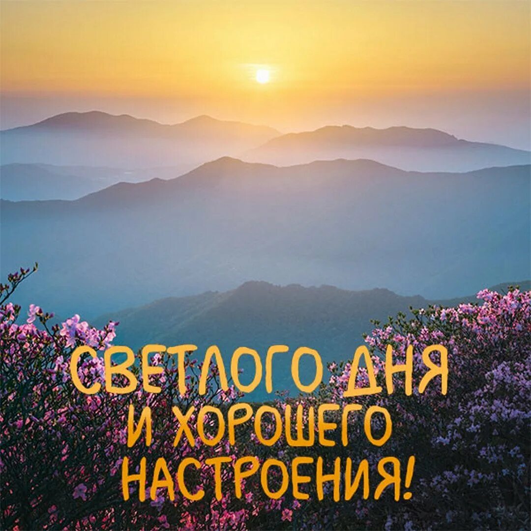 С добрым утром и солнечного дня картинки. Доброго солнечного дня. солнечного дня и отличного настроения. хорошего дня и отличного настроения. солнечного дня и отличного настроени.