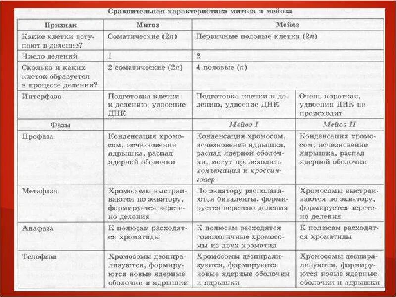 Сравнение митоза и мейоза таблица. 2. Сравнение митоза и мейоза (таблица). Фазы митоза и мейоза таблица 9 класс биология. Сравнительная характеристика митоза и мейоза. Сходства и отличия митоза и мейоза таблица.