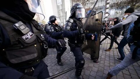 Француз свежий