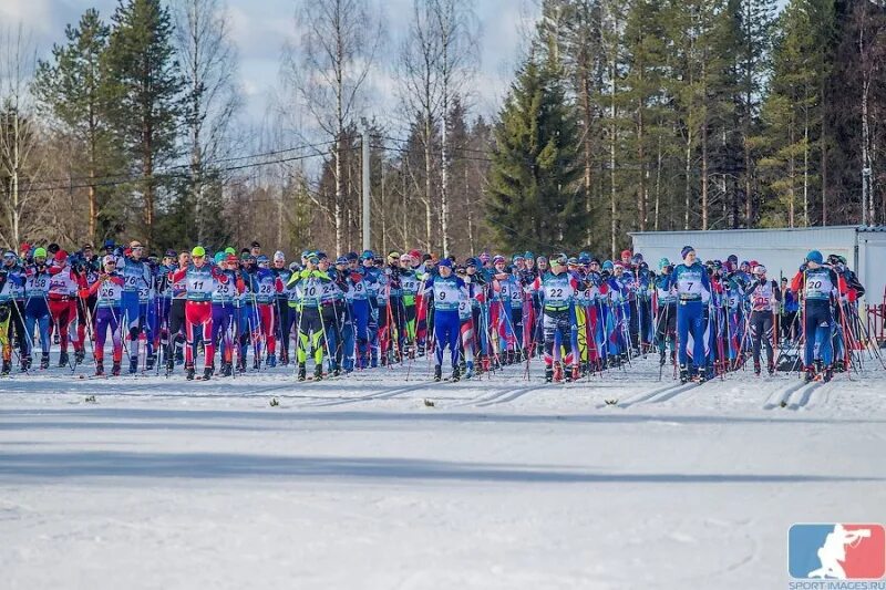 Поморский лыжный марафон 2024г. Лыжный марафон 2018. Поморский марафон. Лыжный марафон 5 февраля нижний новгород. Поморский лыжный марафон 2024г.