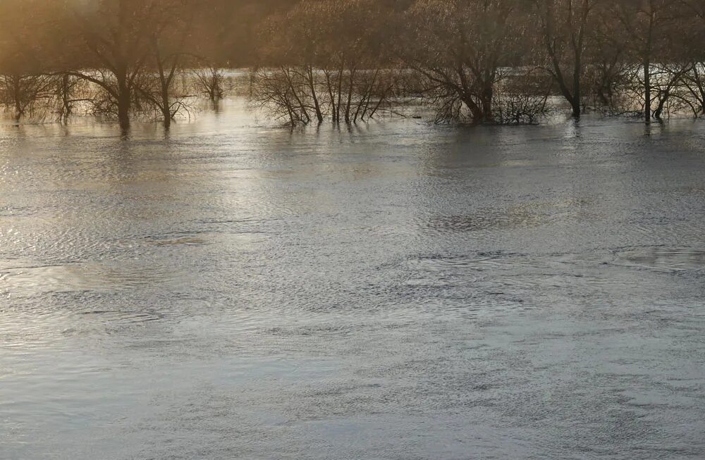 Весенний разлив реки Шерна. Угра разлилась весной. Разлив угры.