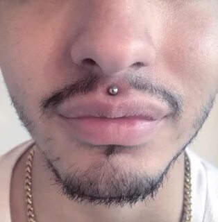 Causes Medusa Piercing | Philtrum Piercing Medusa and Monroe Piercings – In...
