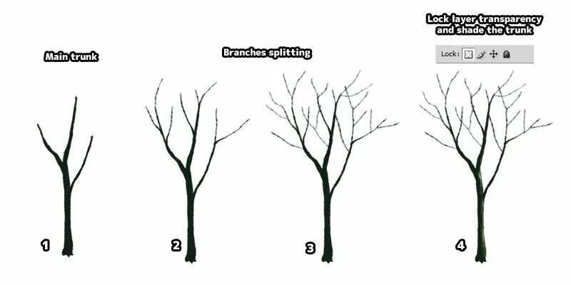 Tree trunk перевод. Trunk tree how to draw photoshop. обрезка груши. tree splitting branches. обрезка груши схема.
