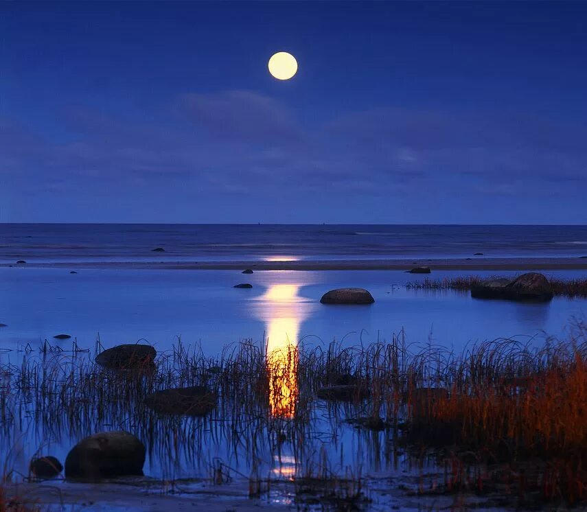 остров ваадху мальдивы светящийся пляж. биолюминесценция остров ванкувер канада. остров ваадху мальдивы. остров ваадху мальдивы. остров ваадху, мальдивы.