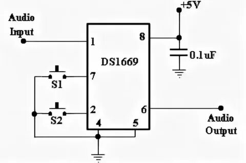 Ds input