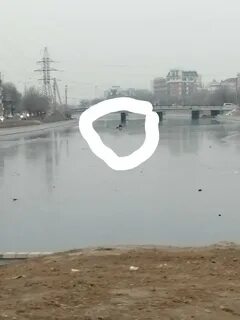 Выходи и лови
