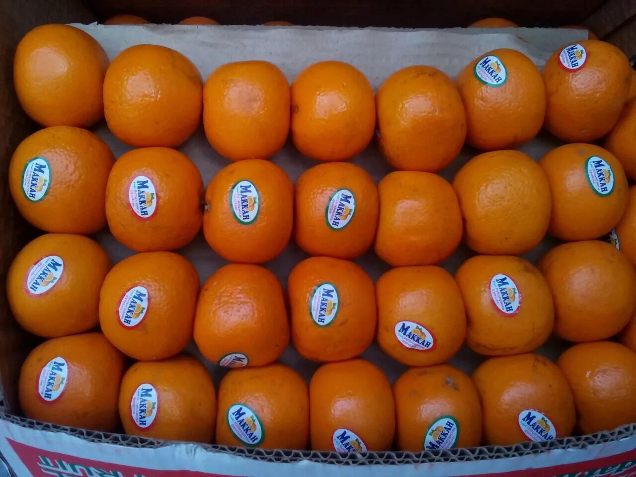 Al wesam чьи мандарины. Апельсины производитель. Al wesam чьи мандарины. Апельсины производитель. Мандарины клеменулес питуфо.