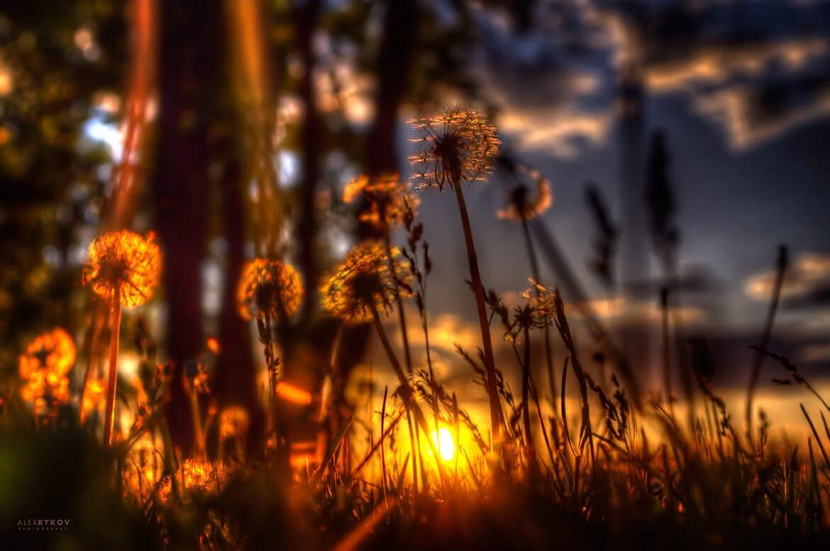 Тусклая яркость. Тусклая яркость. Свечение. Тусклая яркость. Как повысить яркость экрана на телефоне андроид.