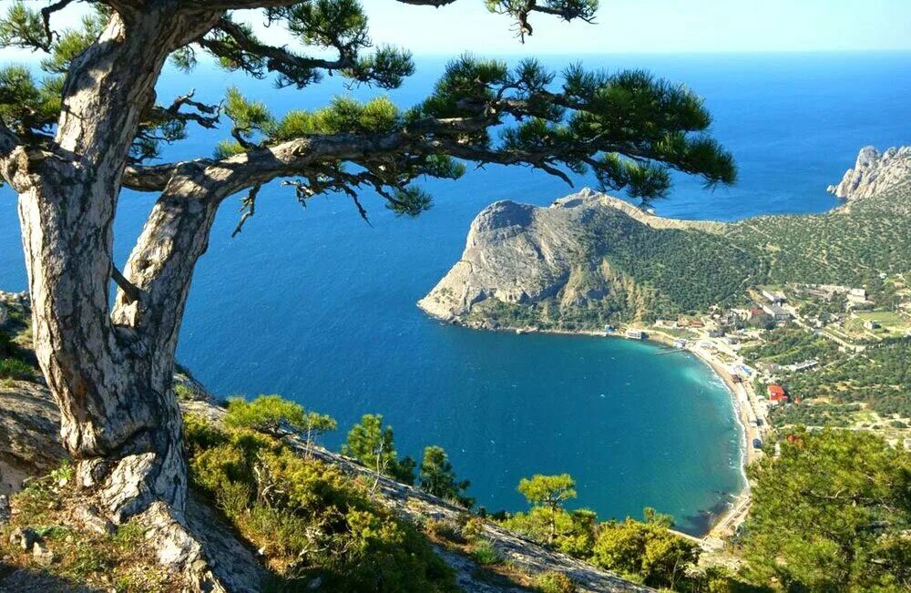 Привет из Крыма Реликтовая можжевеловая роща. Фотография из альбома Судак - 41 и