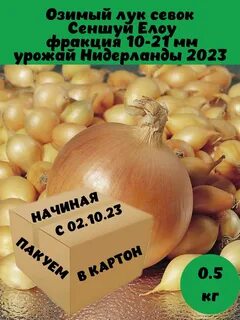 Правила и советы для успешной посадки озимого лука осенью Советы по посадке Flor