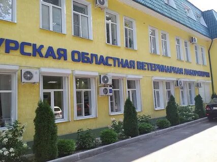 Курская лаборатория