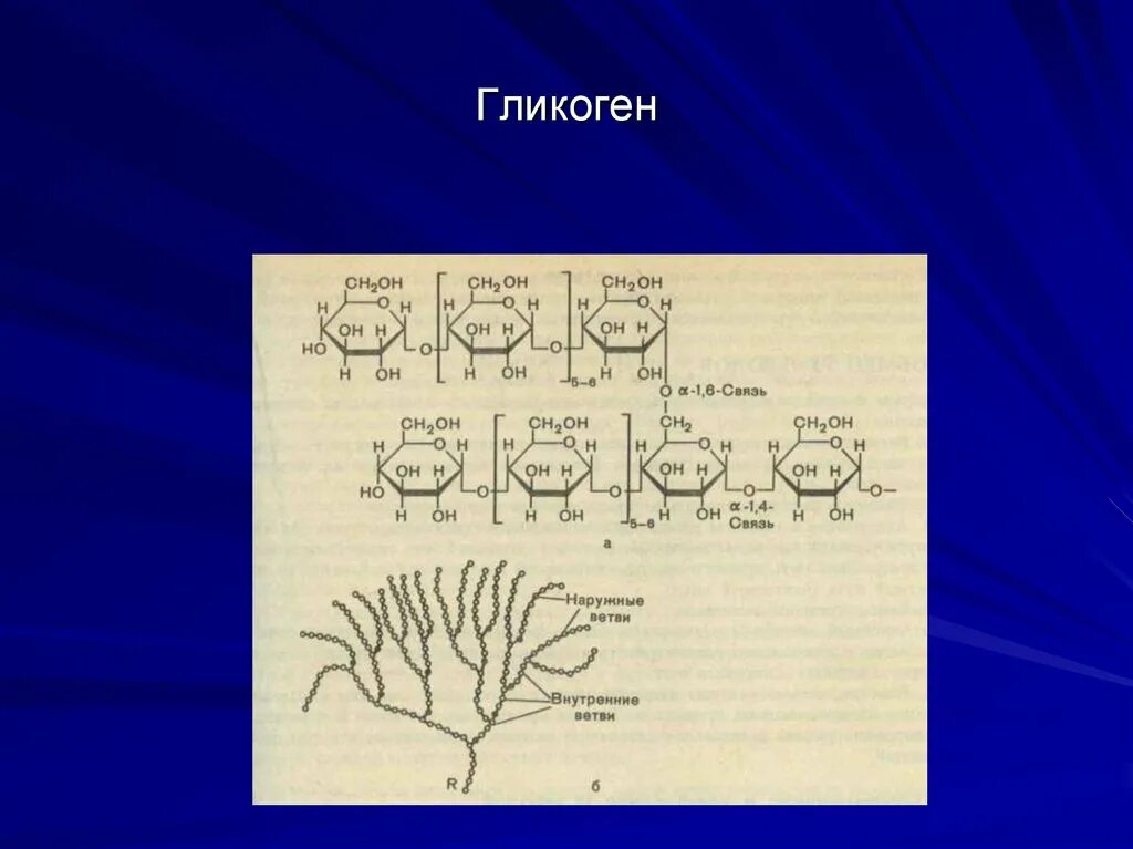 Гликоген цвет. Схема взаимосвязи гликогена и ПФЦ. Гликоген у растений. Накопление гликогена у грибов.