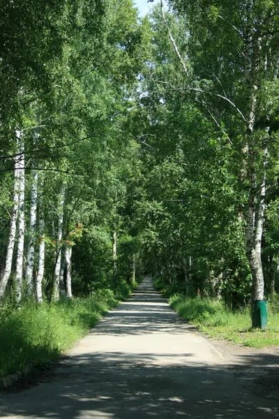 Светлоярский парк. Сквер на Светлоярском озере. Светлоярское озеро летом. Светлоярское озеро Нижний Новгород.