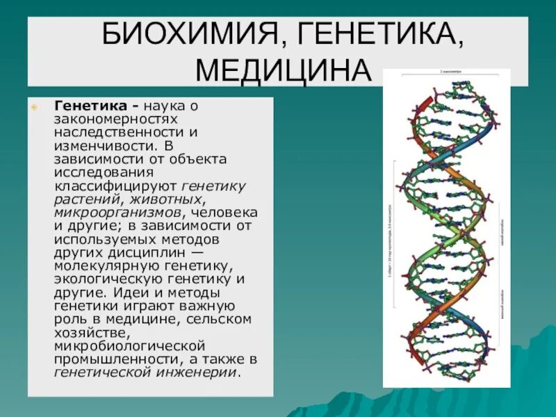 Генетика определение биология. Генетика в медицине. роль генетики в медицине. генетика человека. генетика и медицина. генетика и медицина кратко конспект.