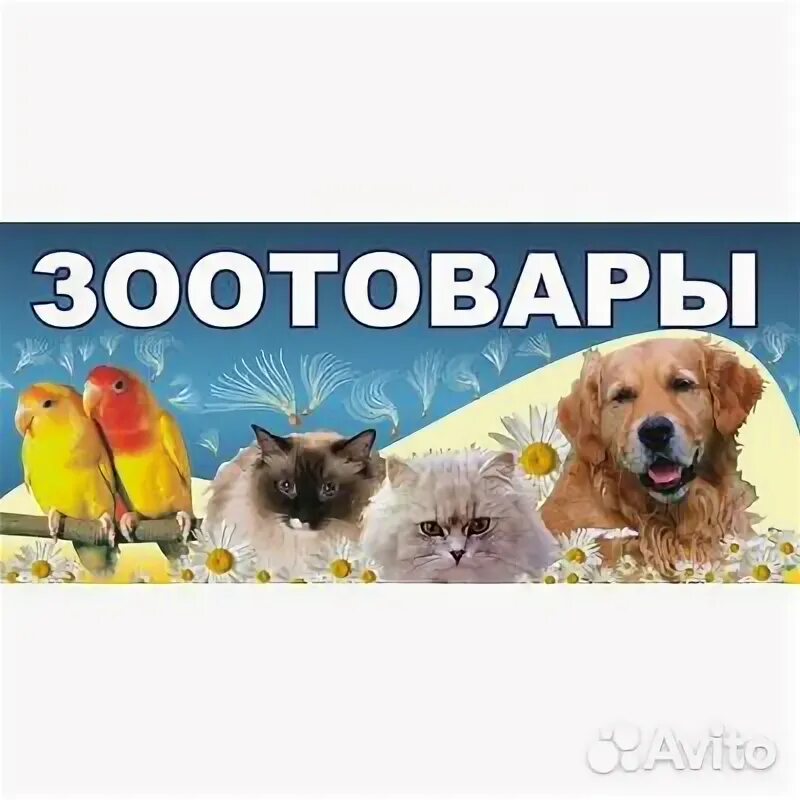 Поступление животных. Рекламный баннер зоотовары. вывеска зоотовары. реклама товаров для животных. товары для животных баннер.