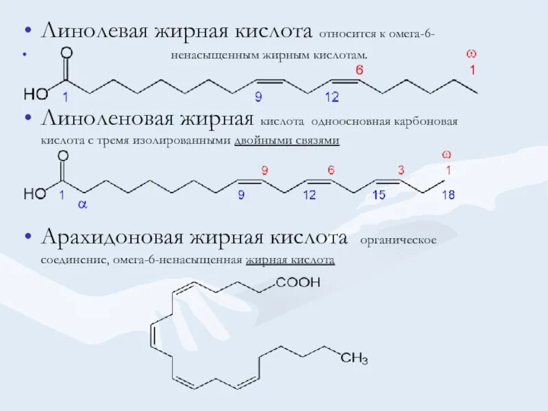 Источники омега 9 жирных кислот тест. Омега 6 жирные кислоты формулы. Структура Омега 6 жирной кислоты. Омега 3 ненасыщенные жирные кислоты формула.