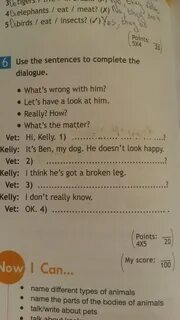 Use the sentences to complete the dialogue